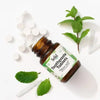 Solid - Toothpaste Tablets - Mint
